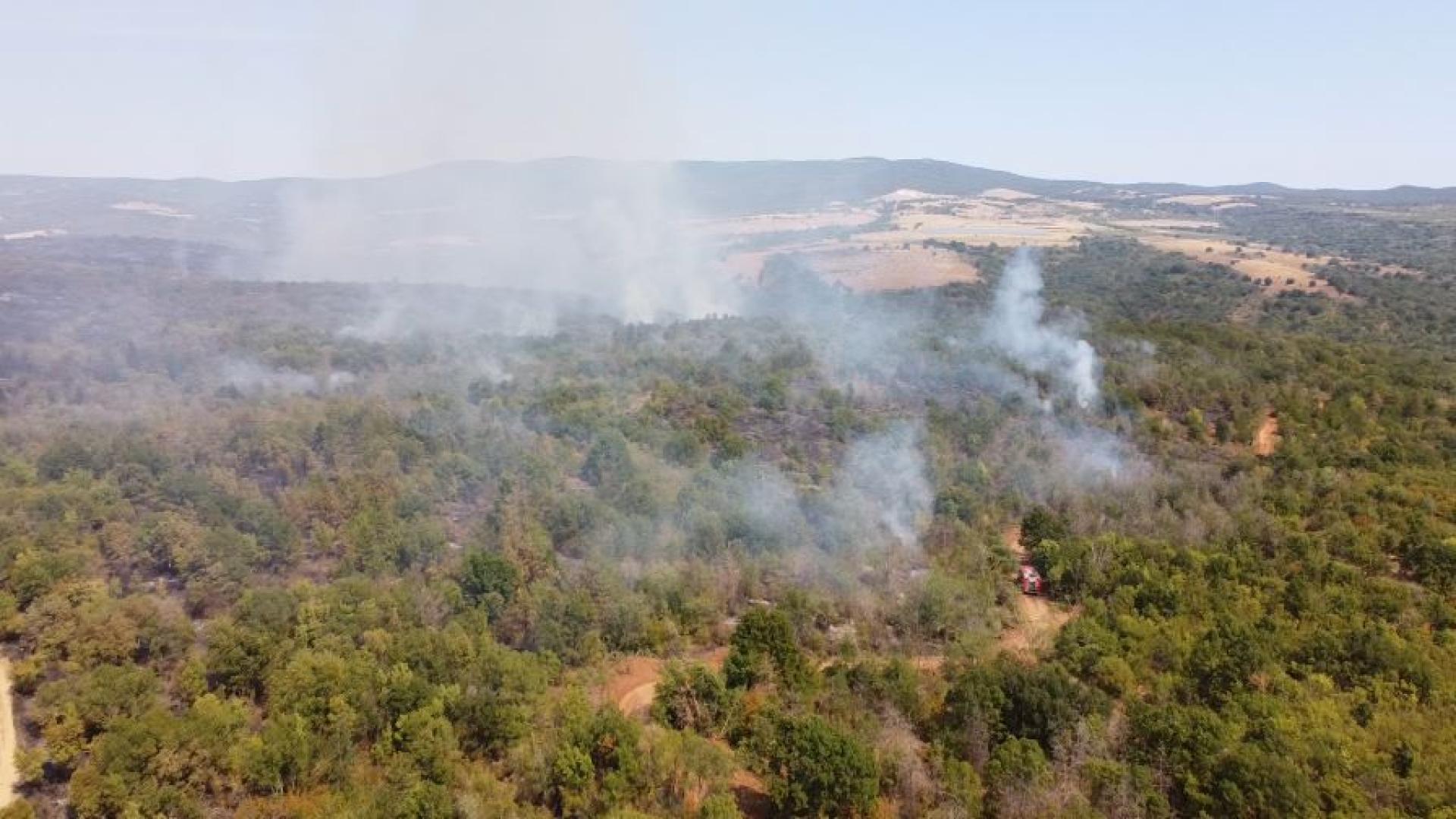 Близо 13 000 декара е вече засегнатата от пожара в