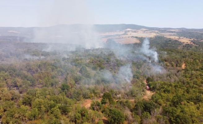 Пожарът в Сакар планина се разраства