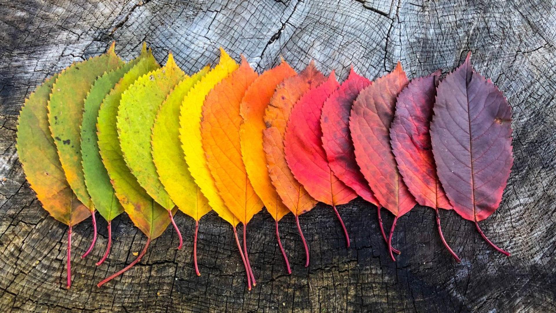 Новото начало в живота често идва неочаквано – като свеж