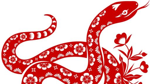 https://m4.netinfo.bg/media/images/51184/51184852/512-288-kitajski-horoskop-zodiak-zmiia.jpg