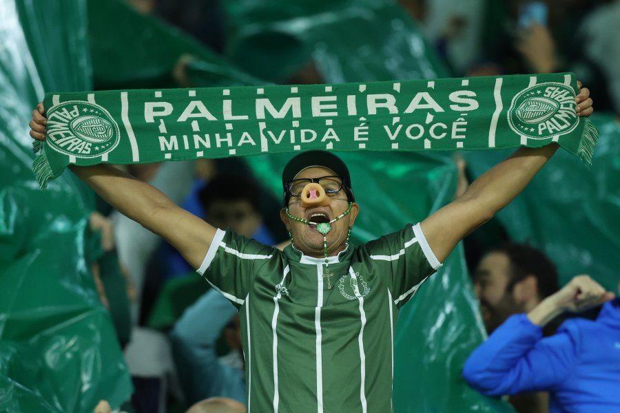 Палмейрас Ривър Плейт1