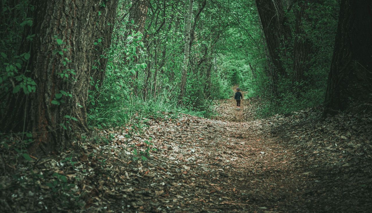 Издирва се 4-годишно момче в Австралия, изчезнало преди дни