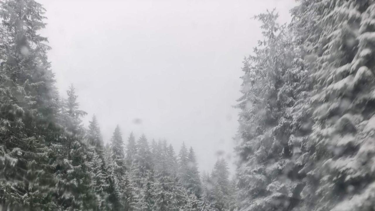 Илюстративна снимка