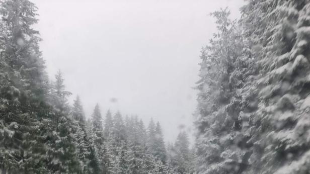 Дъжд и сняг по празниците