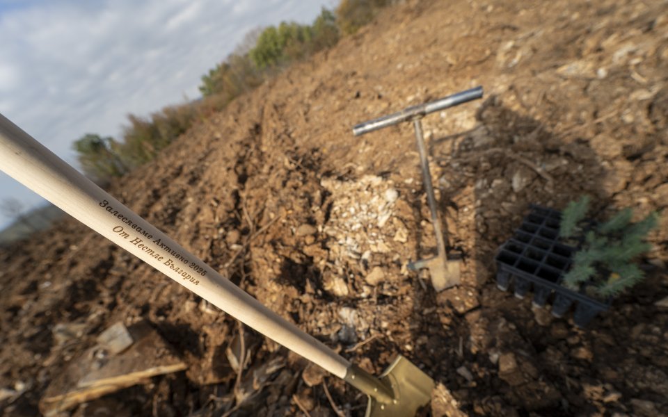 Стара Загора стана дом на златната лопата на Нестле инициативата „Залесяваме активно“