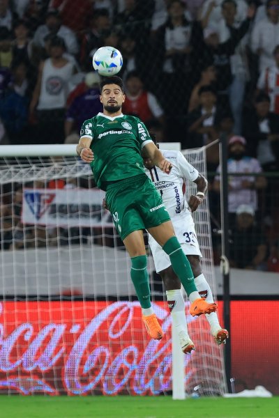 Лига де Кито Палмейрас1