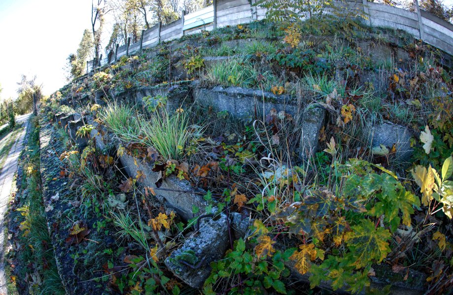 Миньор Перник Черно море1