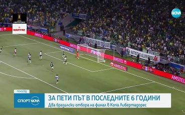 Бразилски  финал за Копа Либертадорес