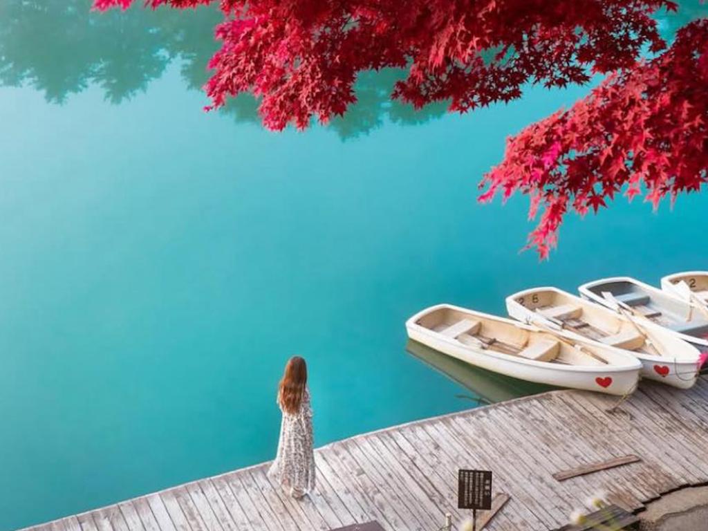 Ноември в Япония