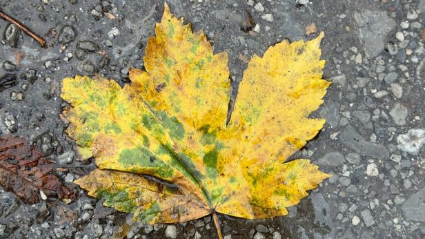 Облаци и мъгли след "сиромашкото лято"