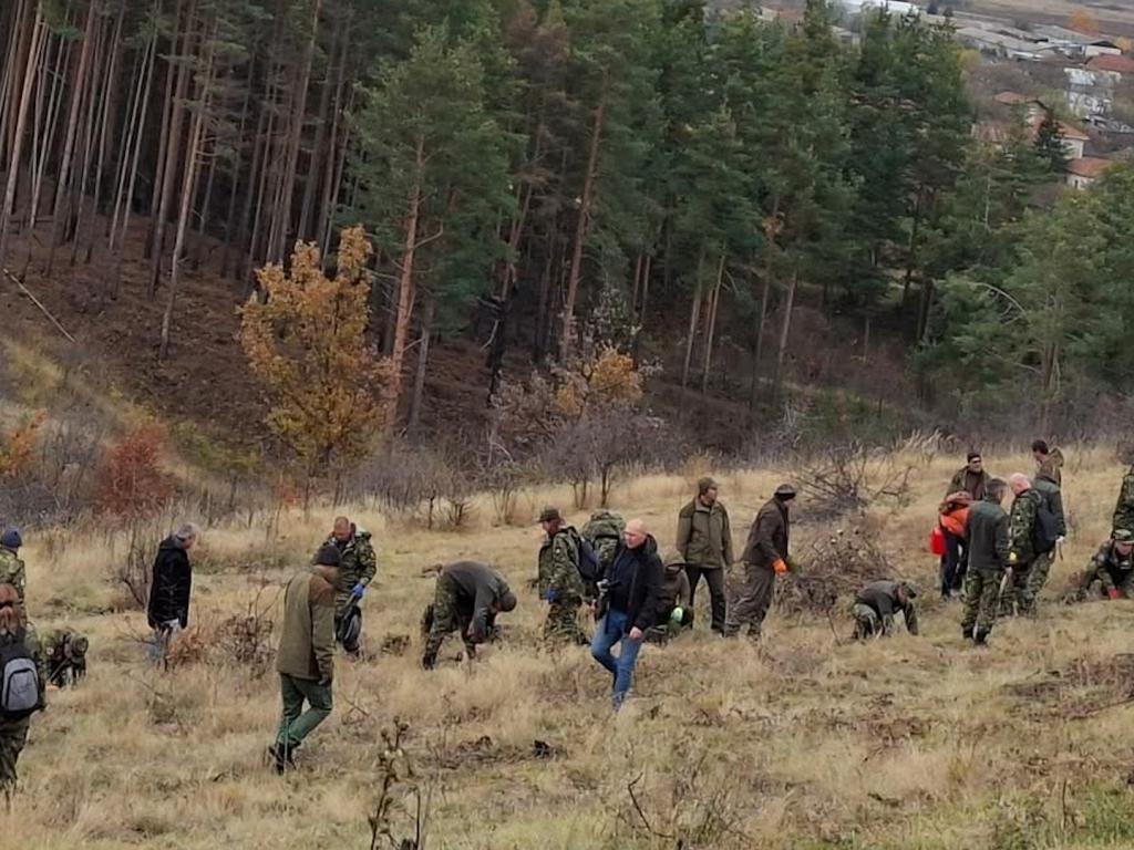 Горски и военни засаждат борова гора