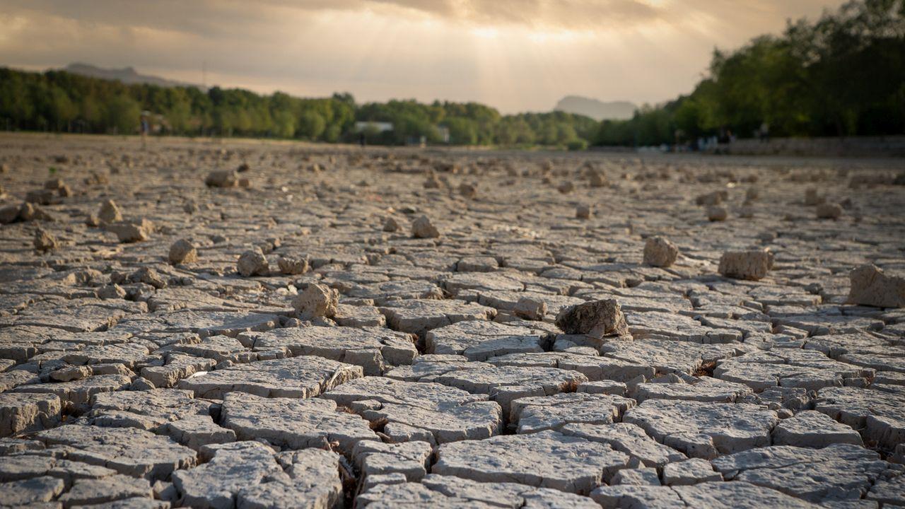 Илюстративна снимка