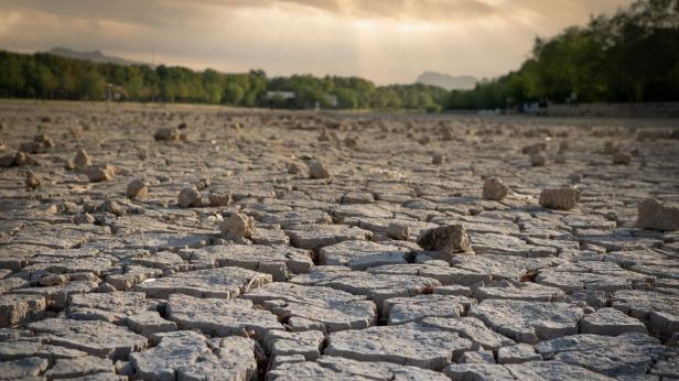 Сушата удари реколтата от царевица
