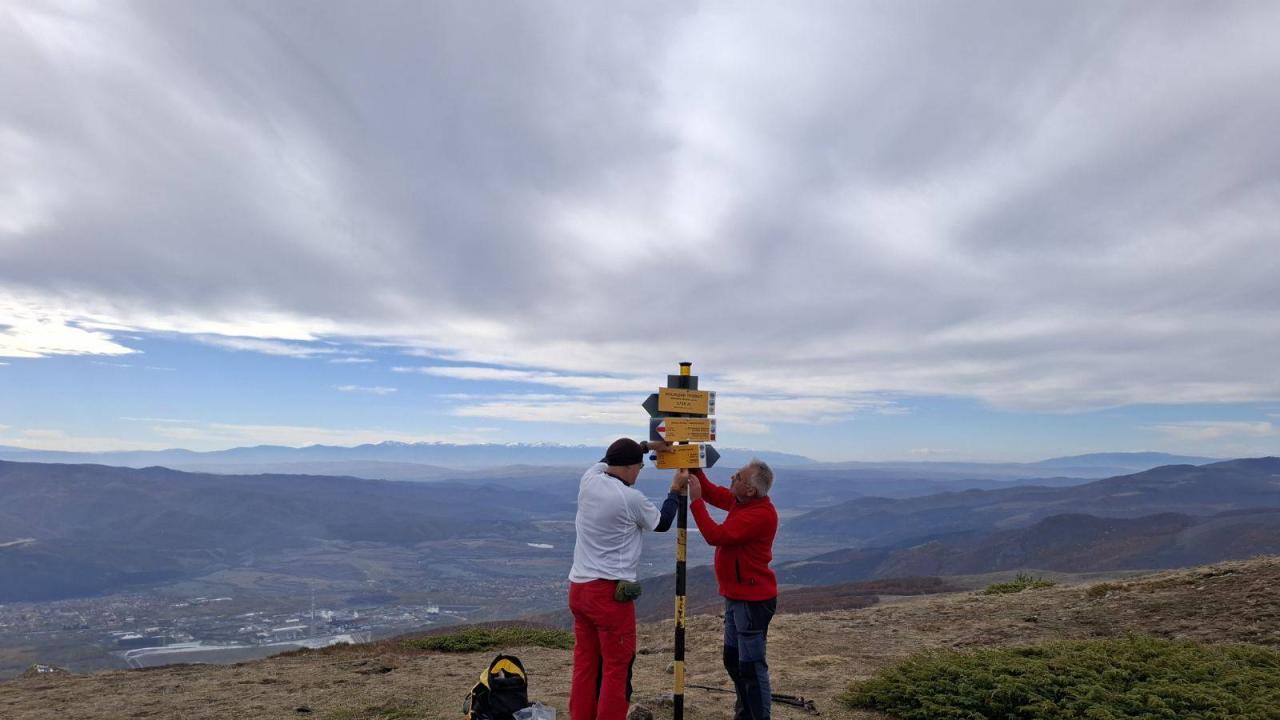 Зимна колова маркировка