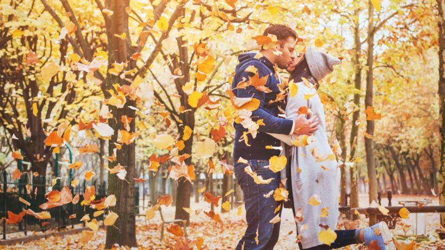 6 знака от китайския хороскоп, за които ноември ще донесе истинска любов