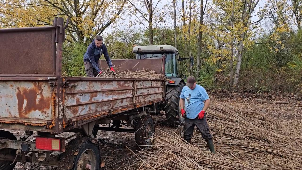 Укрепват платформите на пеликаните