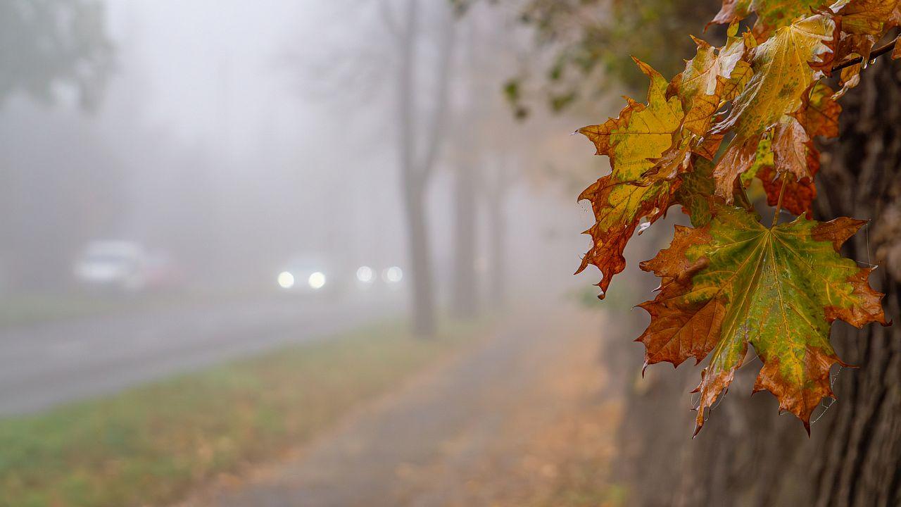 Илюстративна снимка