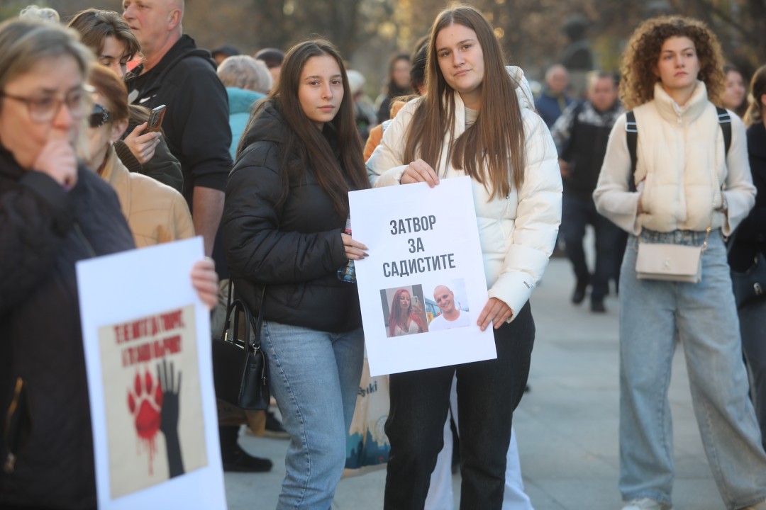 <p>Протест срещу насилието над животни се проведе пред ВМА. Протестът е организиран от &quot;Приятели на Мечо&quot; и &quot;Невидими животни&quot;. Повод за недоволството е прегазването на кучето Мая в София. Протестиращите искат &quot;Справедливост за Мая&quot;. Протестиращите настояват ВМА да уволни доктор Ненад Цоневски, който беше заснет да минава с автомобил през кучето пред гараж в квартал &quot;Разсадника&quot;.</p>