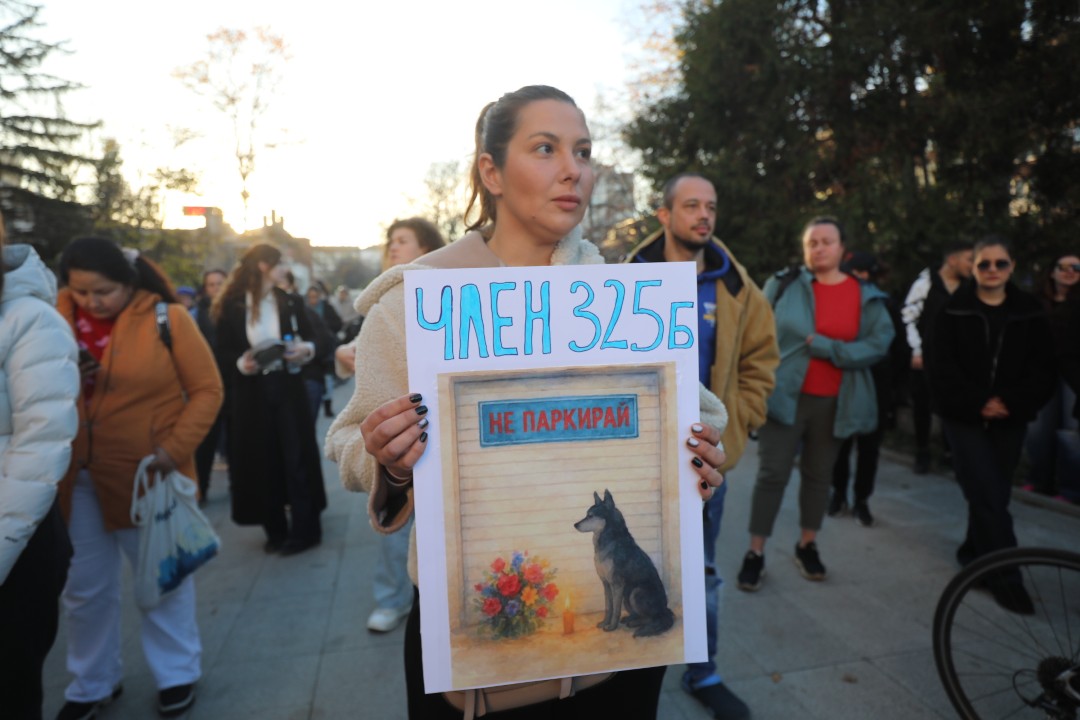 <p>Протест срещу насилието над животни се проведе пред ВМА. Протестът е организиран от &quot;Приятели на Мечо&quot; и &quot;Невидими животни&quot;. Повод за недоволството е прегазването на кучето Мая в София. Протестиращите искат &quot;Справедливост за Мая&quot;. Протестиращите настояват ВМА да уволни доктор Ненад Цоневски, който беше заснет да минава с автомобил през кучето пред гараж в квартал &quot;Разсадника&quot;.</p>