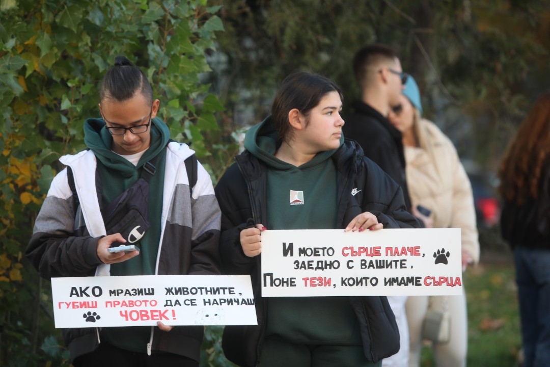 <p>Протест срещу насилието над животни се проведе пред ВМА. Протестът е организиран от &quot;Приятели на Мечо&quot; и &quot;Невидими животни&quot;. Повод за недоволството е прегазването на кучето Мая в София. Протестиращите искат &quot;Справедливост за Мая&quot;. Протестиращите настояват ВМА да уволни доктор Ненад Цоневски, който беше заснет да минава с автомобил през кучето пред гараж в квартал &quot;Разсадника&quot;.</p>