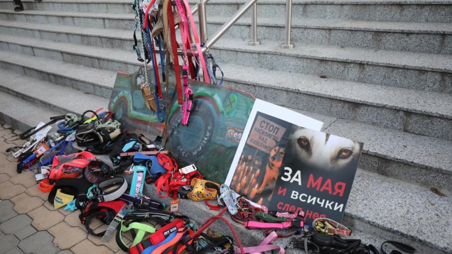 Протест срещу насилието над животни пред ВМА