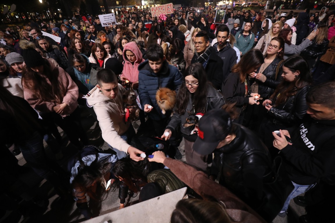 <p>Под надслов &bdquo;Справедливост за Мая&ldquo; граждани се събраха пред Военномедицинска академия (ВМА) на протест срещу жестокостта към животните. Събралите се протестиращи преминаха с шествие до НДК, където протестът приключи.</p>