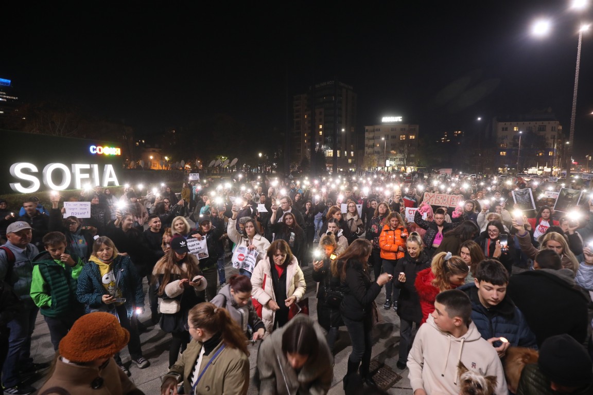 <p>Под надслов &bdquo;Справедливост за Мая&ldquo; граждани се събраха пред Военномедицинска академия (ВМА) на протест срещу жестокостта към животните. Събралите се протестиращи преминаха с шествие до НДК, където протестът приключи.</p>