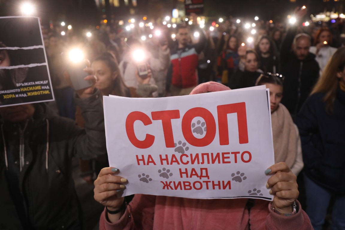 <p>Под надслов &bdquo;Справедливост за Мая&ldquo; граждани се събраха пред Военномедицинска академия (ВМА) на протест срещу жестокостта към животните. Събралите се протестиращи преминаха с шествие до НДК, където протестът приключи.</p>