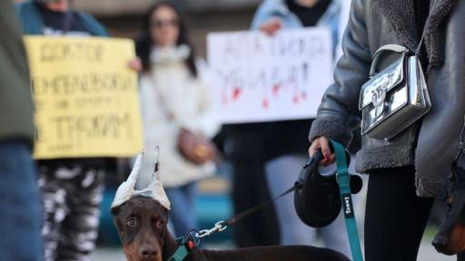 <p>&quot;Те не могат да говорят, ти защо мълчиш?&quot;</p>