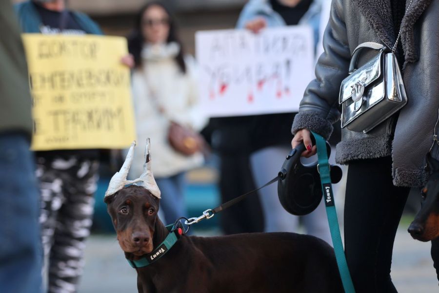 <p>Протест срещу жестокостта над животните се провежда на централния площад &bdquo;Независимост&ldquo; във Варна. Присъстващите поискаха ефективни наказания за проявилите насилие над четириноги - били те домашни любимци, или бездомни.</p>