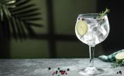 "Направете ми двоен": Защо джин с тоник е една от най-здравословните алкохолни напитки