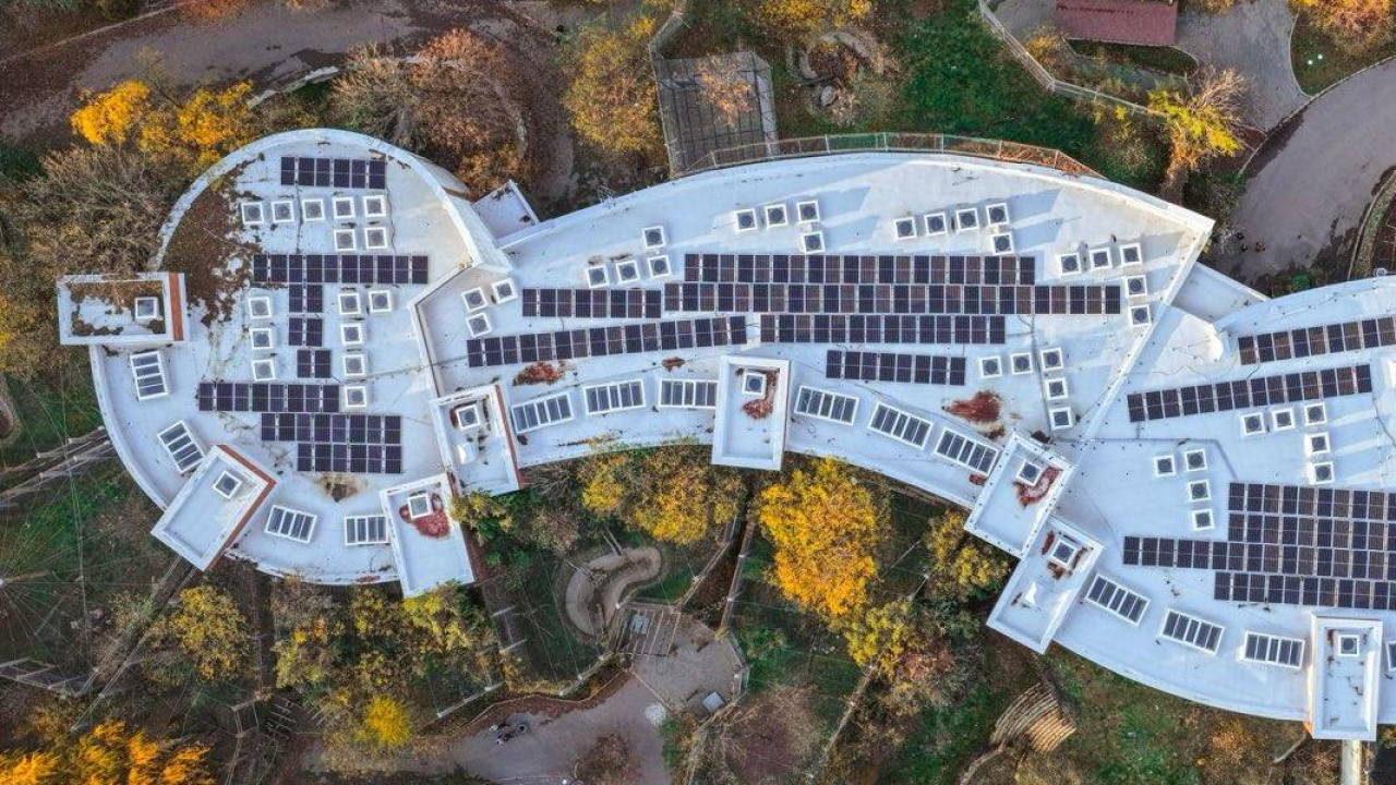 Фотоволтаична централа в Зоопарк София