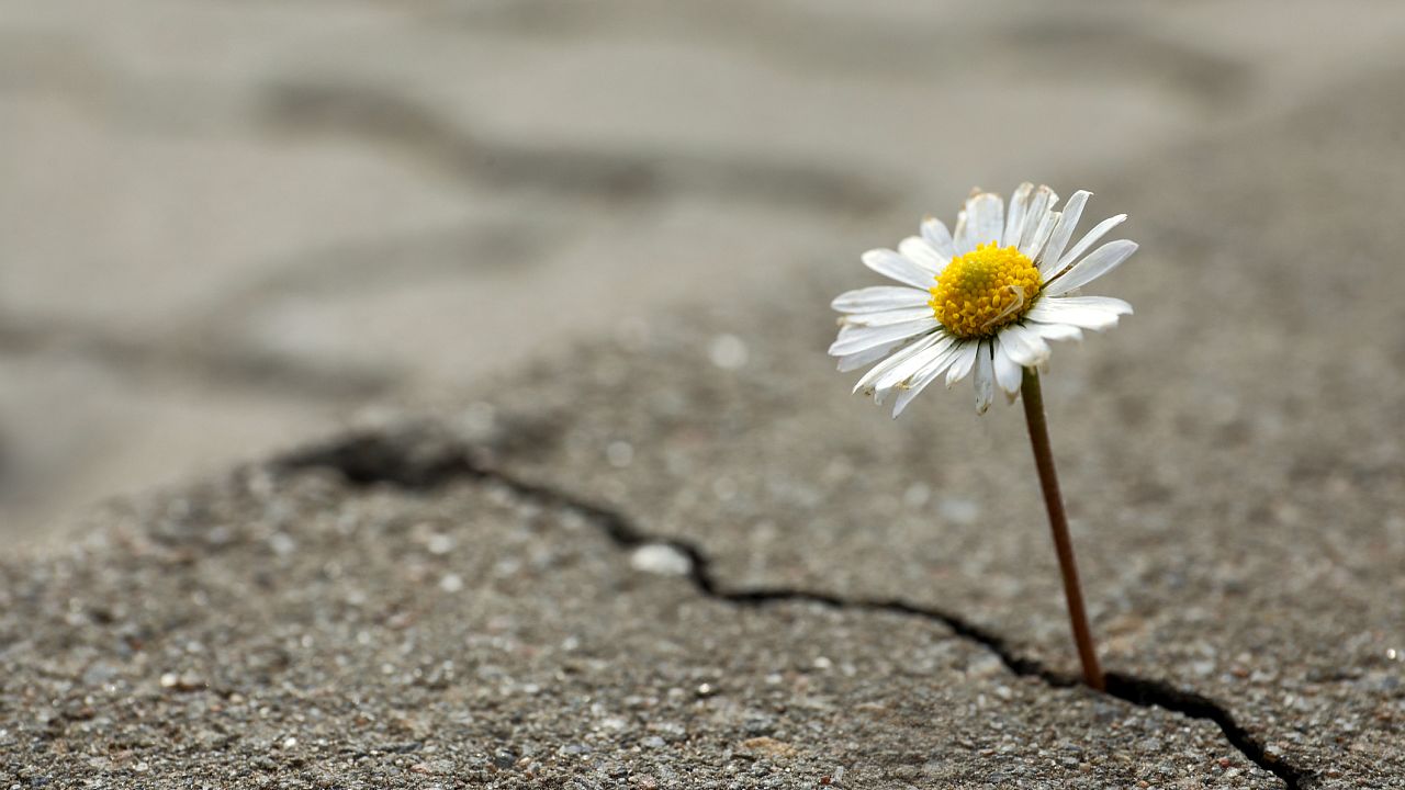 <p><strong>Оптимизъм</strong></p>

<p>Всички имаме лоши дни, но някои хора са по-оптимистични като цяло. И познайте? Оптимистите много по-често стават милионери.</p>