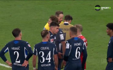 Майнц - Хофенхайм 1:1 /репортаж/