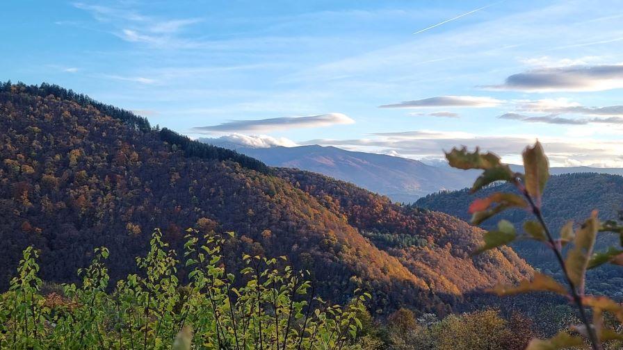 След дъждовния уикенд: С какво време започва новата седмица