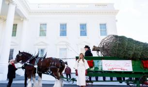 Коледа в Белия дом: Мелания срещу Джил – чии украси блестят повече