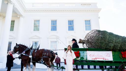 Коледа в Белия дом: Мелания срещу Джил – чии украси блестят повече