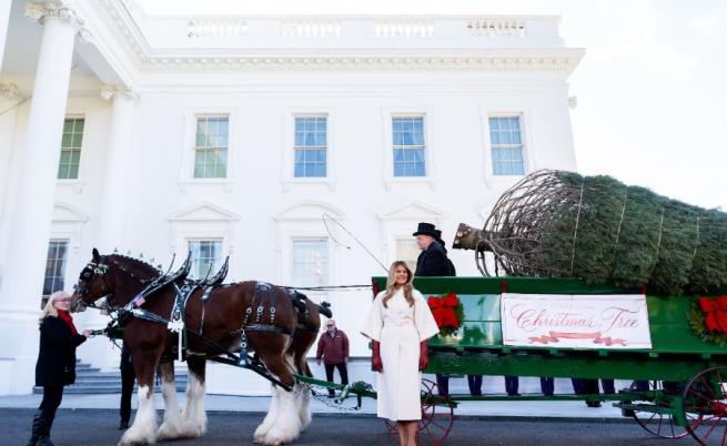 Коледа в Белия дом: Мелания срещу Джил – чии украси блестят повече