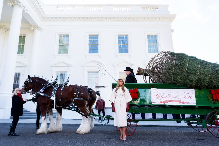 <p>Мелания Тръмп посрещна коледното дърво на Белия дом</p>