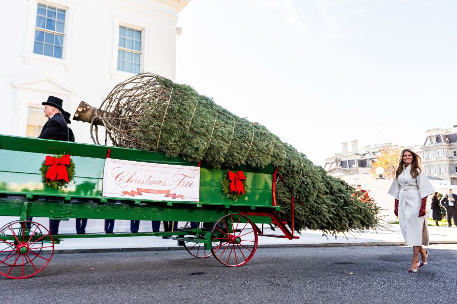 <p>Мелания Тръмп посрещна коледното дърво на Белия дом</p>