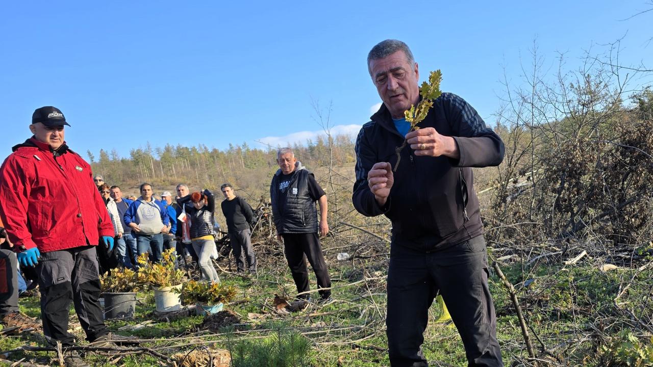 Залесяват Гарга баир край Велико Търново