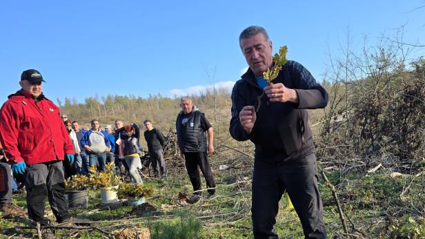 Засадиха дръвчета на Гарга баир