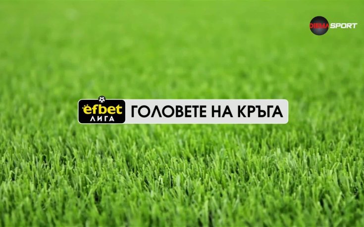 Головете на кръга (16-и кръг, 25.11.2025)