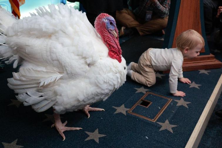 Тръмп помилва пуйки но не пощади политическите си опоненти