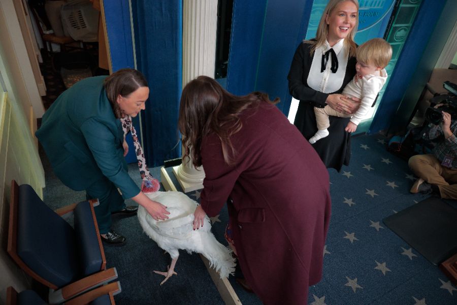 <p>Тръмп помилва пуйки, но не пощади политическите си опоненти.</p>