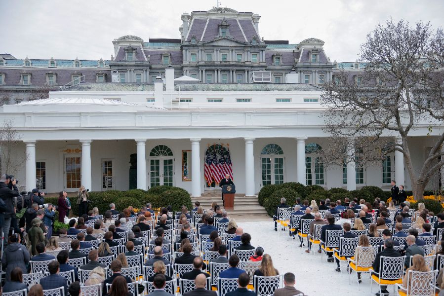 <p>Тръмп помилва пуйки, но не пощади политическите си опоненти.</p>