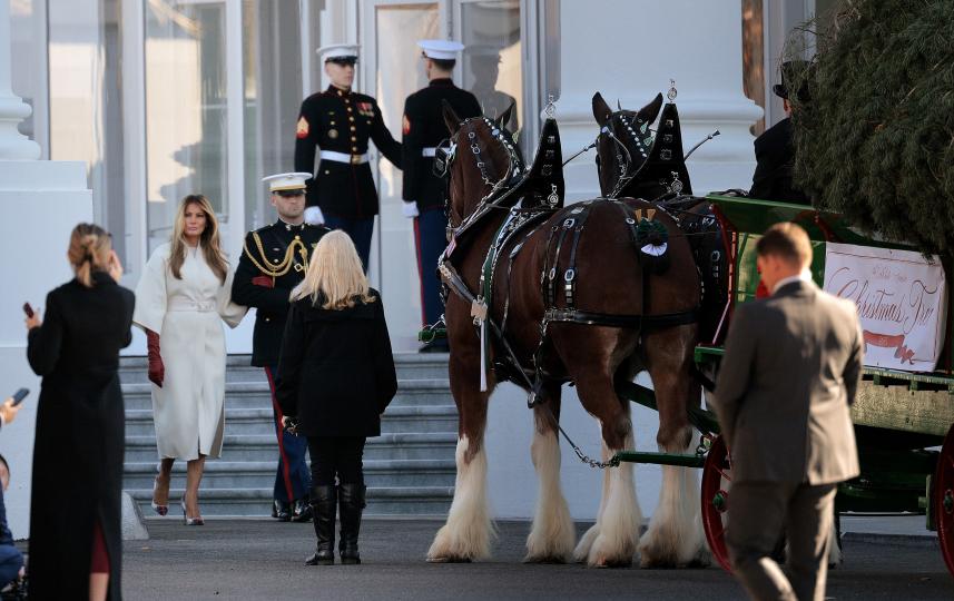 Мелания Тръмп посрещна коледната елха в елегантно палто за милиони (СНИМКИ) - снимка 7