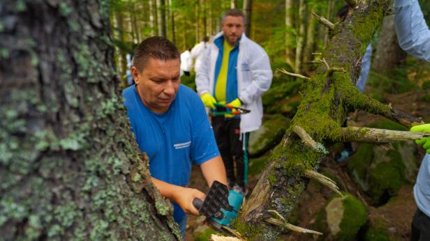 Да помогнем да един от пазителите на Родопите