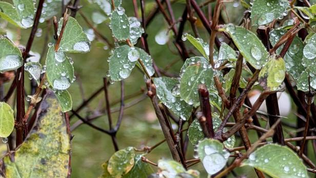 Дъждове в края на номеври