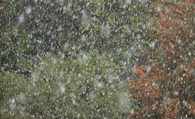 Сняг заваля в района на Пампорово